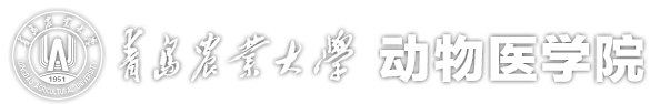 谈球吧官方网站