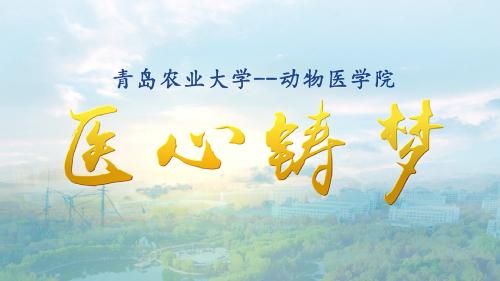 谈球吧官方网站宣传片