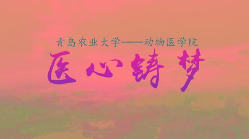 医心铸梦--2018年谈球吧官方网站教学科研宣传片